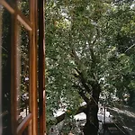 Naftilos 3* 卡拉内拉